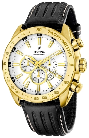 Наручные часы Festina F16879/1 фото