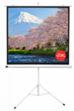 Экран для проектора S'OK SCPST-180x180GR 100'' 1:1 напольный, на треноге, матовый, серый