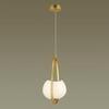 Подвесной светильник Odeon Light Exclusive Waterlily 4873/1