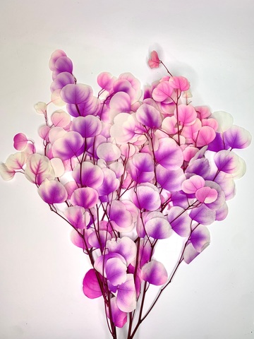 Эвкалипт стаб. Популюс Орхидея