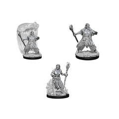 D&D Nolzur's Marvelous Unpainted Miniatures - Water Genasi Male Druid