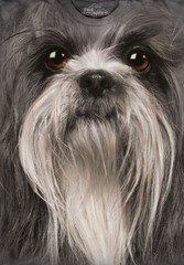 Футболка Mountain с изображением Ши-тцу - Shih Tzu Face