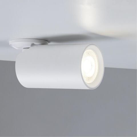 Накладной светильник Arte Lamp NODO A3213PL-1WH