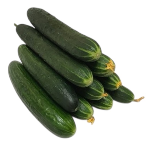 Огурец 