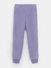 брюки  для девочки  ФЛ 40006-1/6 ГР
