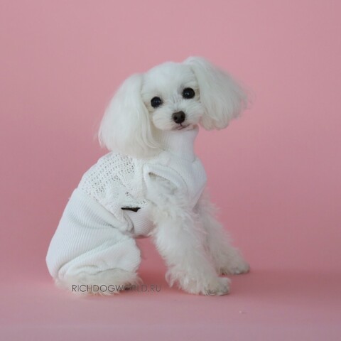 5194 BH Вязаный комбинезон "Knit Allinone"