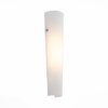 Светильник настенный ST Luce Snello SL508.501.01