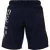 Шорты Hardcore Training Knight Navy/Blue