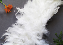 Боа куриное 78 гр, ш. 20 см, L 1,82 м, белый