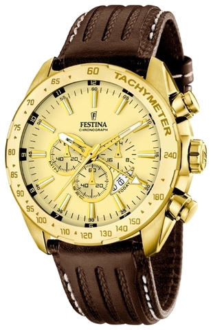 Наручные часы Festina F16879/2 фото