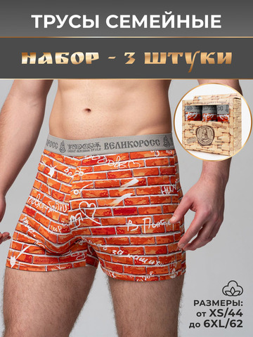 Комплект из 3-х семейных трусов - «Кирпичная стена»