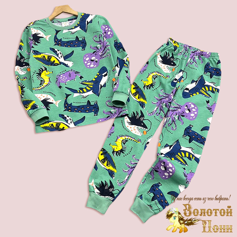 Пижама хлопок/начес м (9-12) 250830-AT874