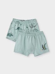 набор трусы/ уп  для мальчика  К 1930-2уп/голубой прибой,динозавры