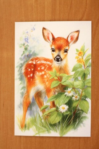 Олененок на поляне