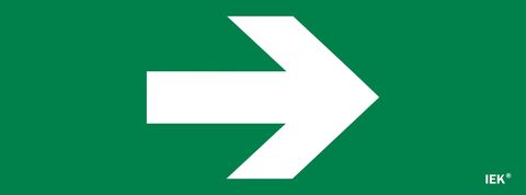 Этикетка самокл. 350х130мм 