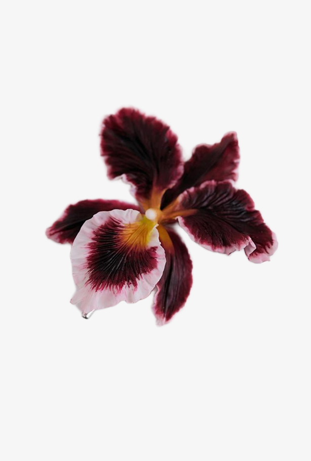 Брошь Каттлея, бордо