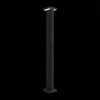 Светильник уличный ST Luce Distesa SL095.445.02