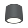 Потолочный светильник Maytoni Rendo C095CL-GX53-GR