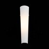 Светильник настенный ST Luce Snello SL508.501.01
