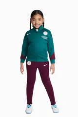 Спортивный костюм Nike PSG 24/25 Strike Little Kids
