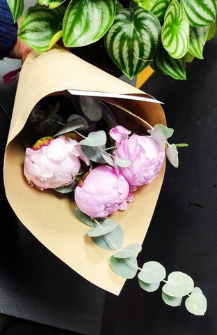 Пионы с эвкалиптом