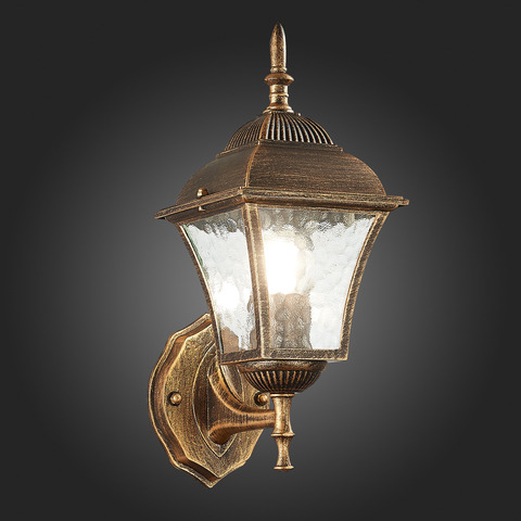 Светильник уличный ST Luce Domenico SL082.201.01