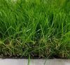 Трава искусственная "Тропикана" 50, ширина 4м, рулон 25м