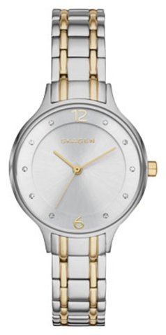 Наручные часы Skagen SKW2321 фото