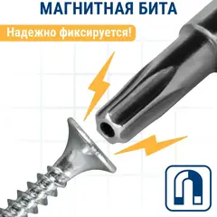Бита отверточная ПРАКТИКА Профи Torx Tamper-15 х 50мм (2шт) (776-447)