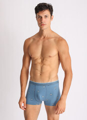 Мужские боксеры E25K-71B101