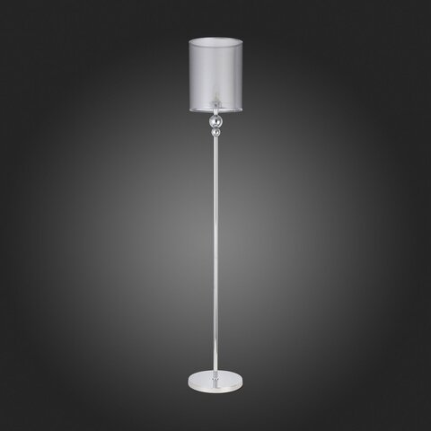 Торшер Evoluce Pazione SLE107105-01