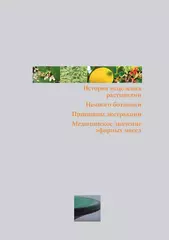 Доминик Боду 