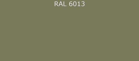 RAL6013