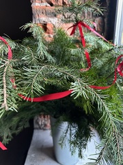 Ветка хвои - ПИХТА