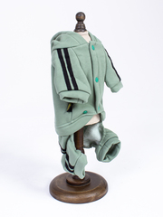 Royal Dog спортивный костюм мята 7XL