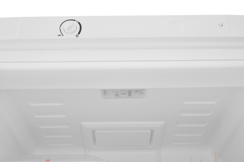 Холодильник Indesit ITR 4180 W mini –  40