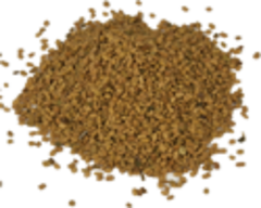 Пажитник шамбала (плоды, 100 гр.) (Старослав)