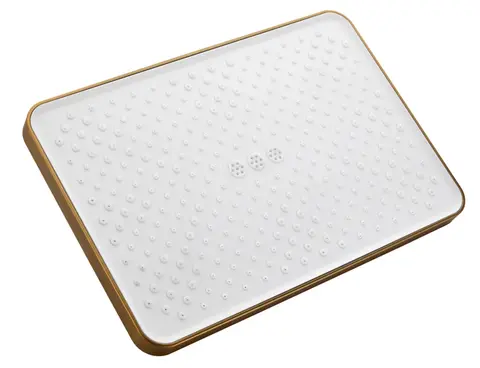 Лейка верхнего душа 305мм x 205мм BELZ BD02-5 брашированное золото