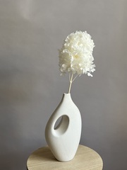 Гортензия стабилизированная белая крупнолистная