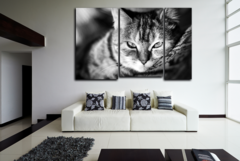 Модульная картина "Полудрема"