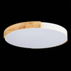 Светильник потолочный Evoluce Delia SLE201352-01