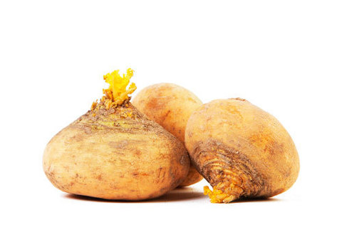 Репа мытая~900г