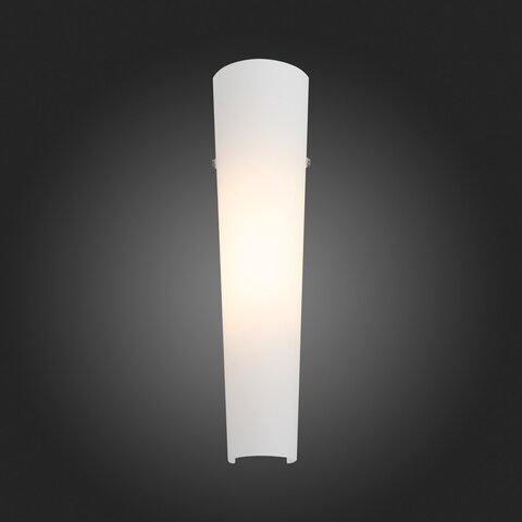 Светильник настенный ST Luce Snello SL508.501.01