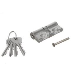 Личинка замка двери Зенит-Химмаш МЦ8-6