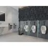 Santek 1WH501805 Писсуар "Гала" с нажимным краном, с креплением, сифон вертикальный