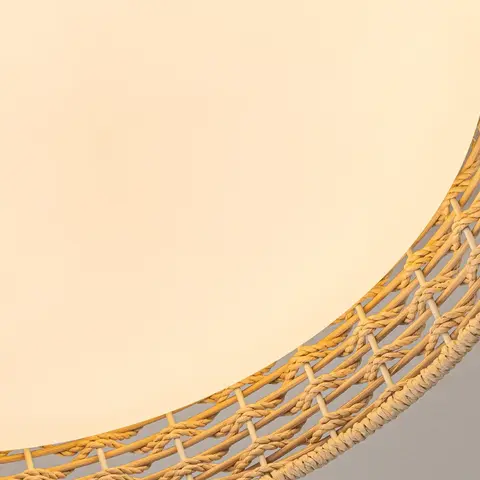 Потолочный светодиодный светильник F-Promo Conrad 4749-4C