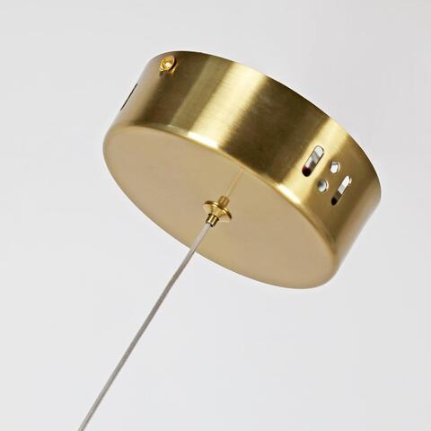 Подвесной светодиодный светильник Favourite Conceptus 2641-1P