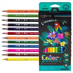 
          Карандаши цветные Yalong 12 цв., "Birds" деревянные, трехгранные, заточенные, грифель 3.0 мм, картон. уп., европодвес