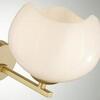 Настенный светильник Odeon Light Exclusive Waterlily 4873/1W