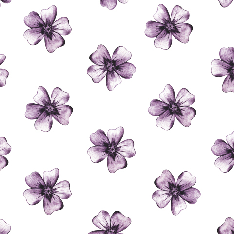 Комнатные фиолетовые цветы